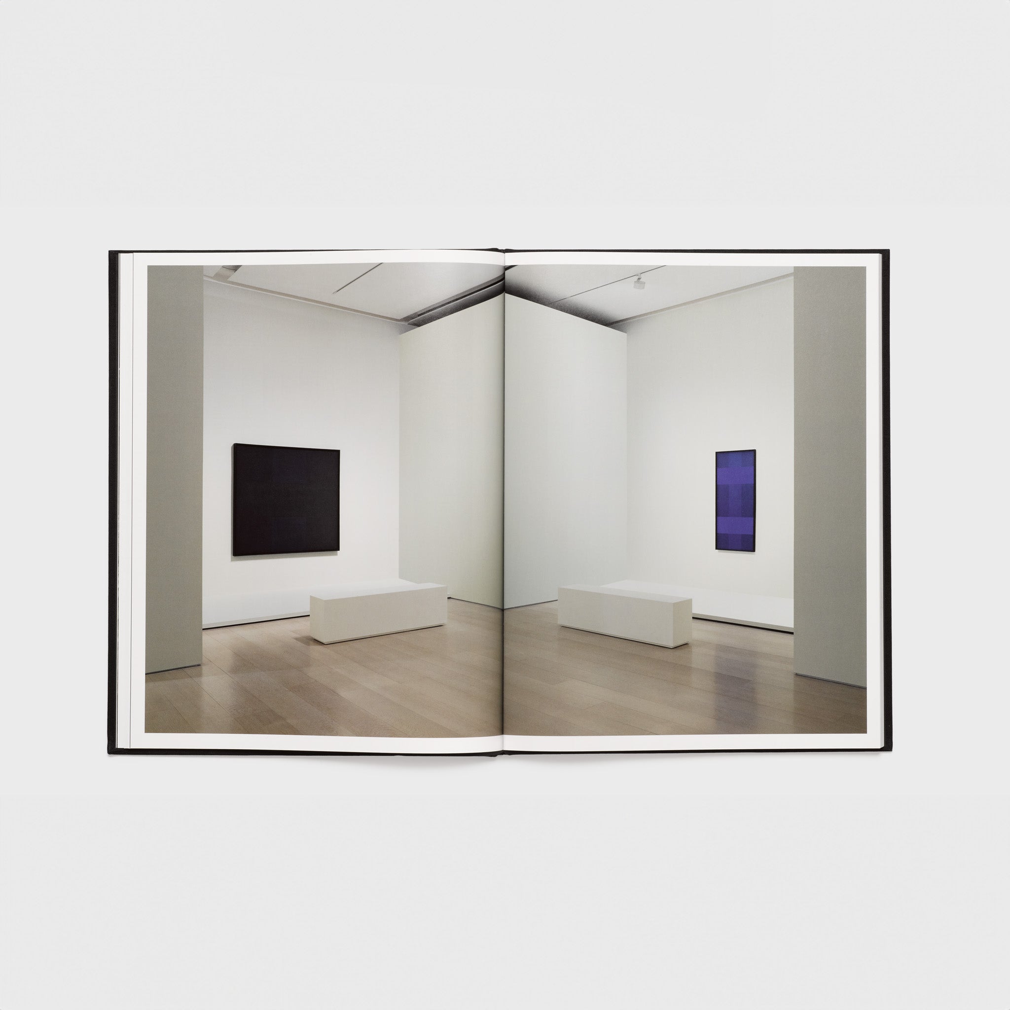 The book is opened to two pages with one photograph across both. The color photograph depicts the exhibition.