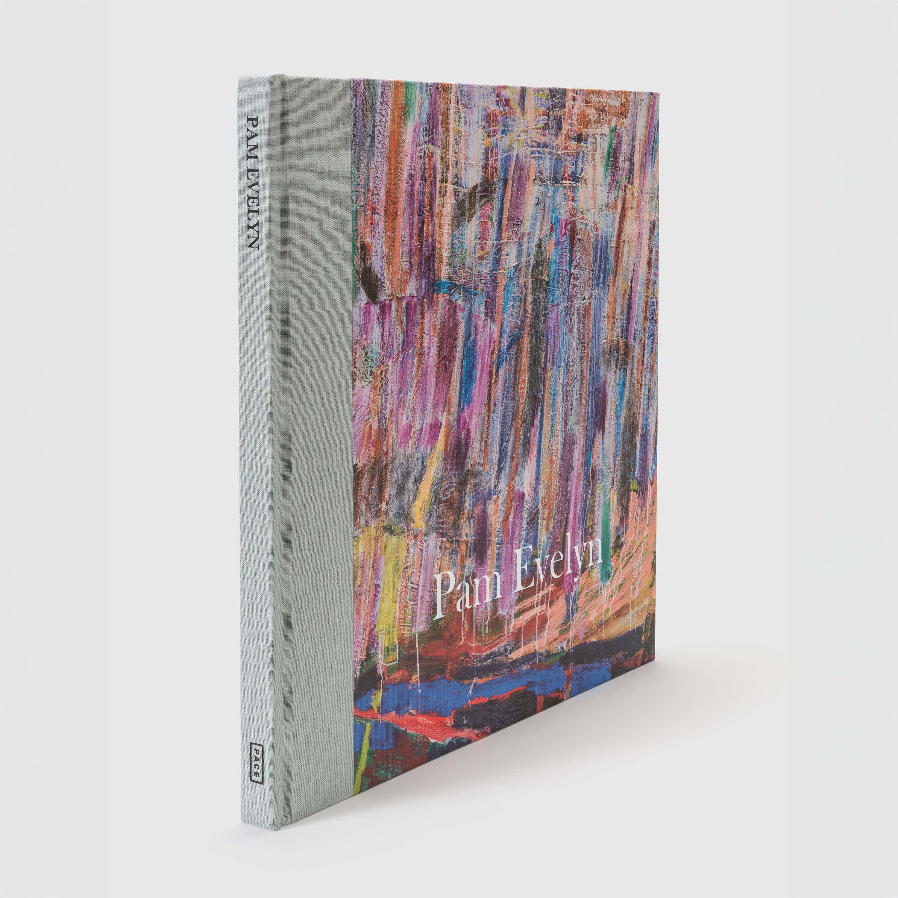 The book is standing at an angle. The title "Pam Evelyn" is in white lettering over a brightly colored Pam Evelyn painting. The spine is grey.