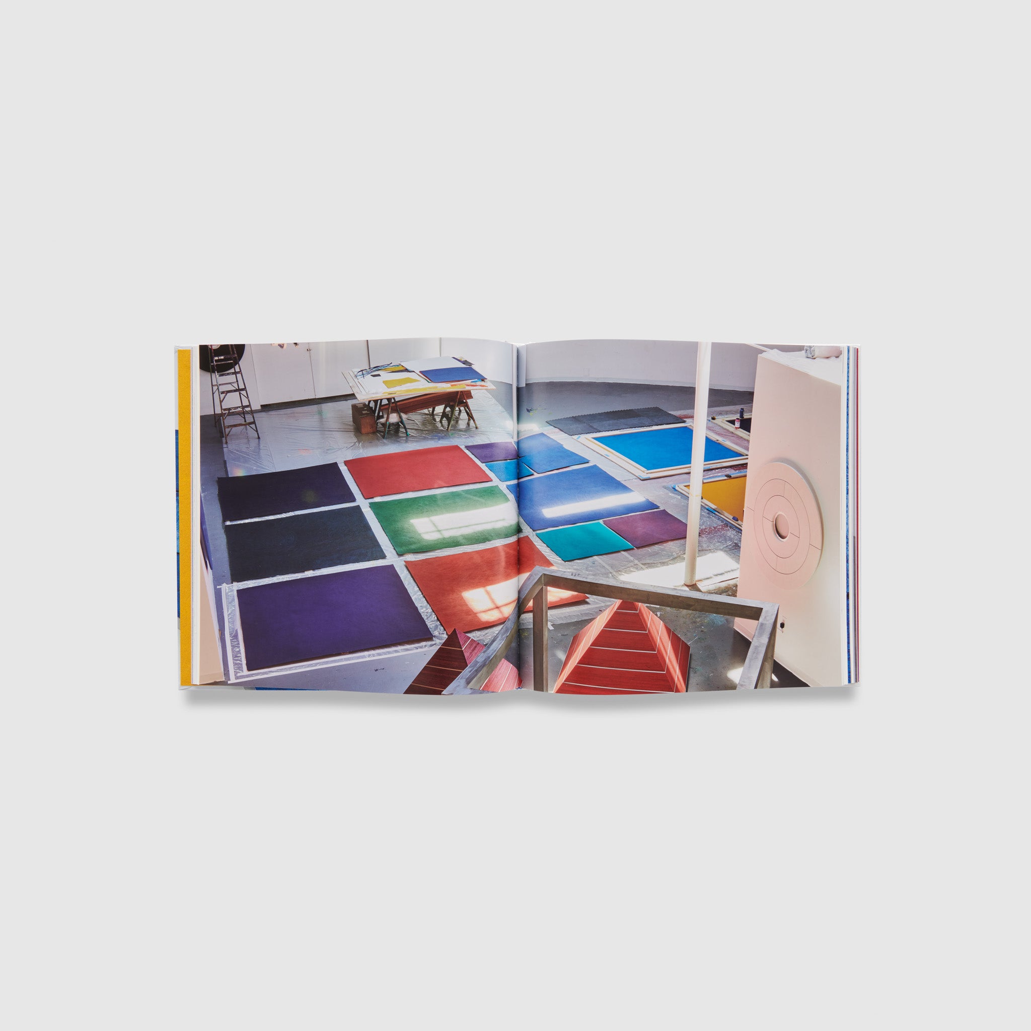 The book is open to two pages. One image spans both pages. It&