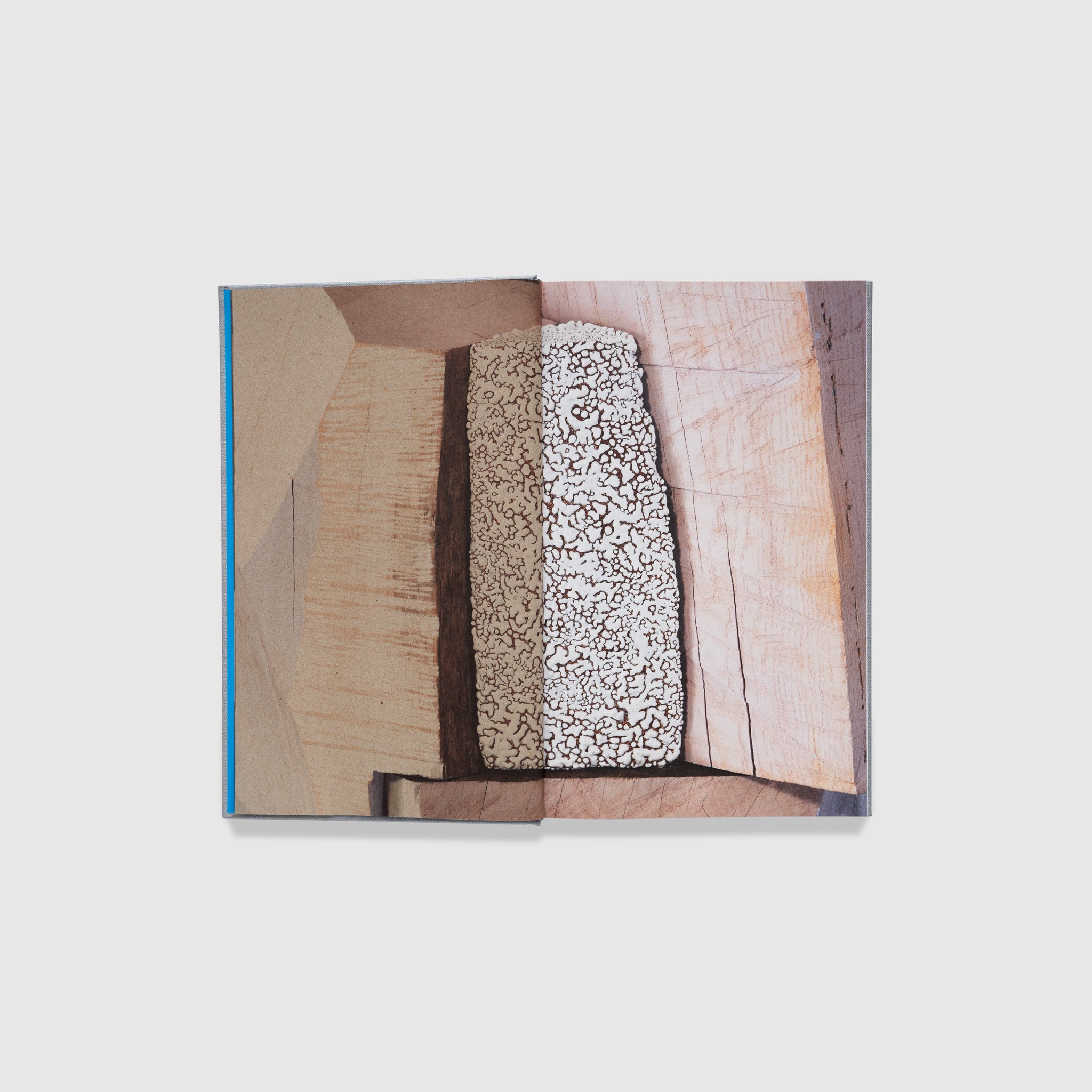 The book is open to two pages with one photograph of Shechet&