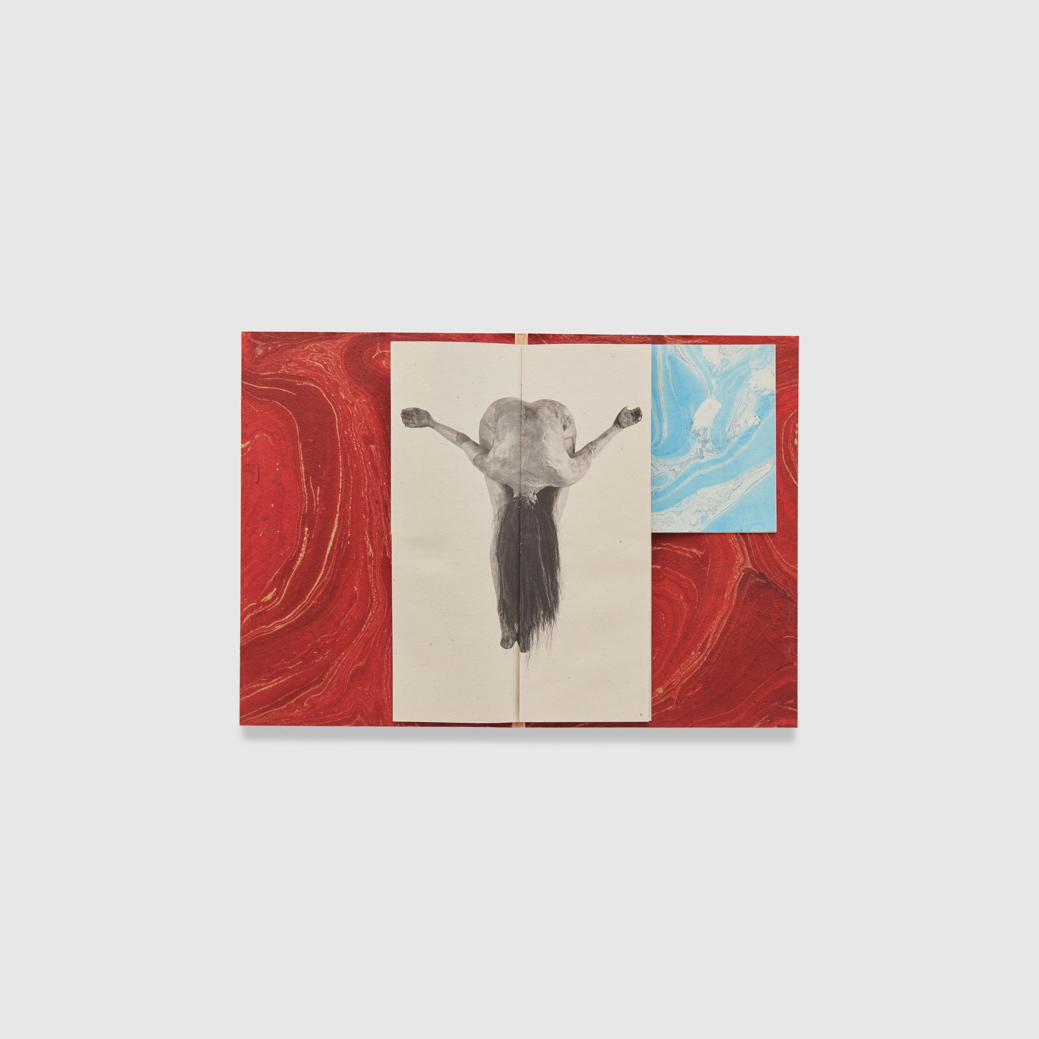 The book is open to two pages. The background is marbled red and their is a black and white Kiki Smith work of a woman bent over.