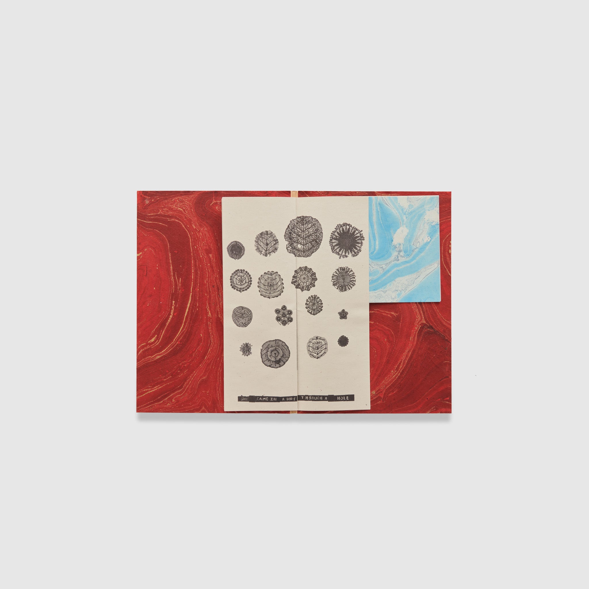 The book is open to two pages and the background of both is marbled red. There&