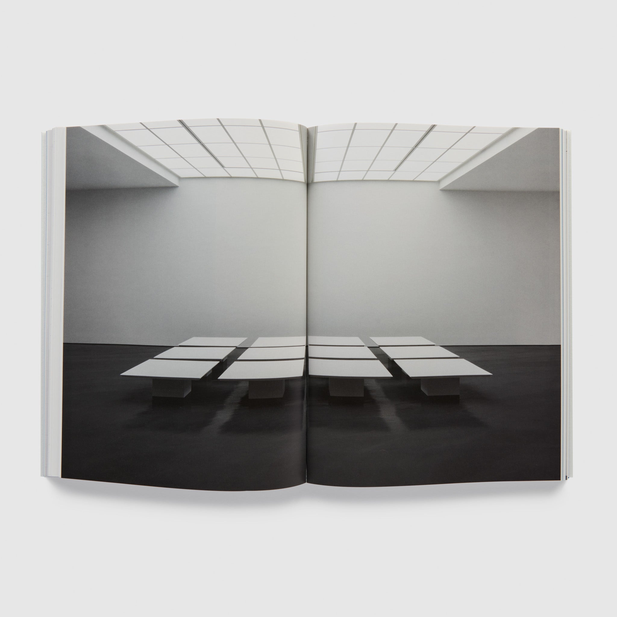 The book is open to two pages. One image fills both. It is of the artists work in a white gallery space.