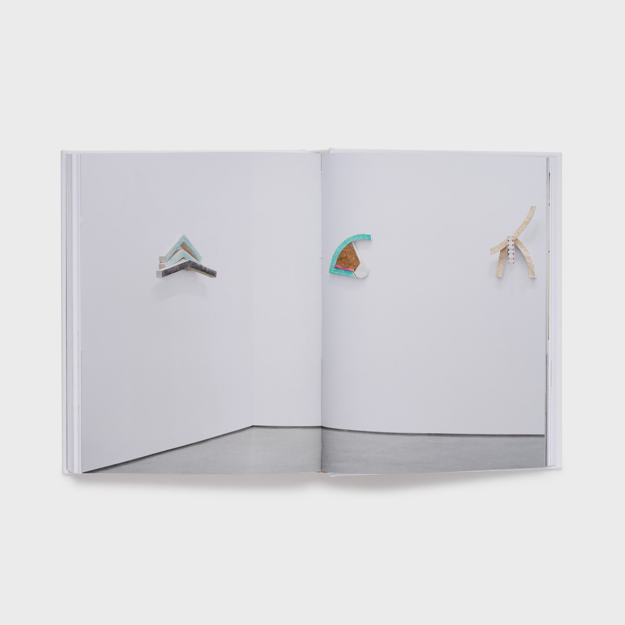 The book is open to two pages and has the same installation image in the gallery across both pages.