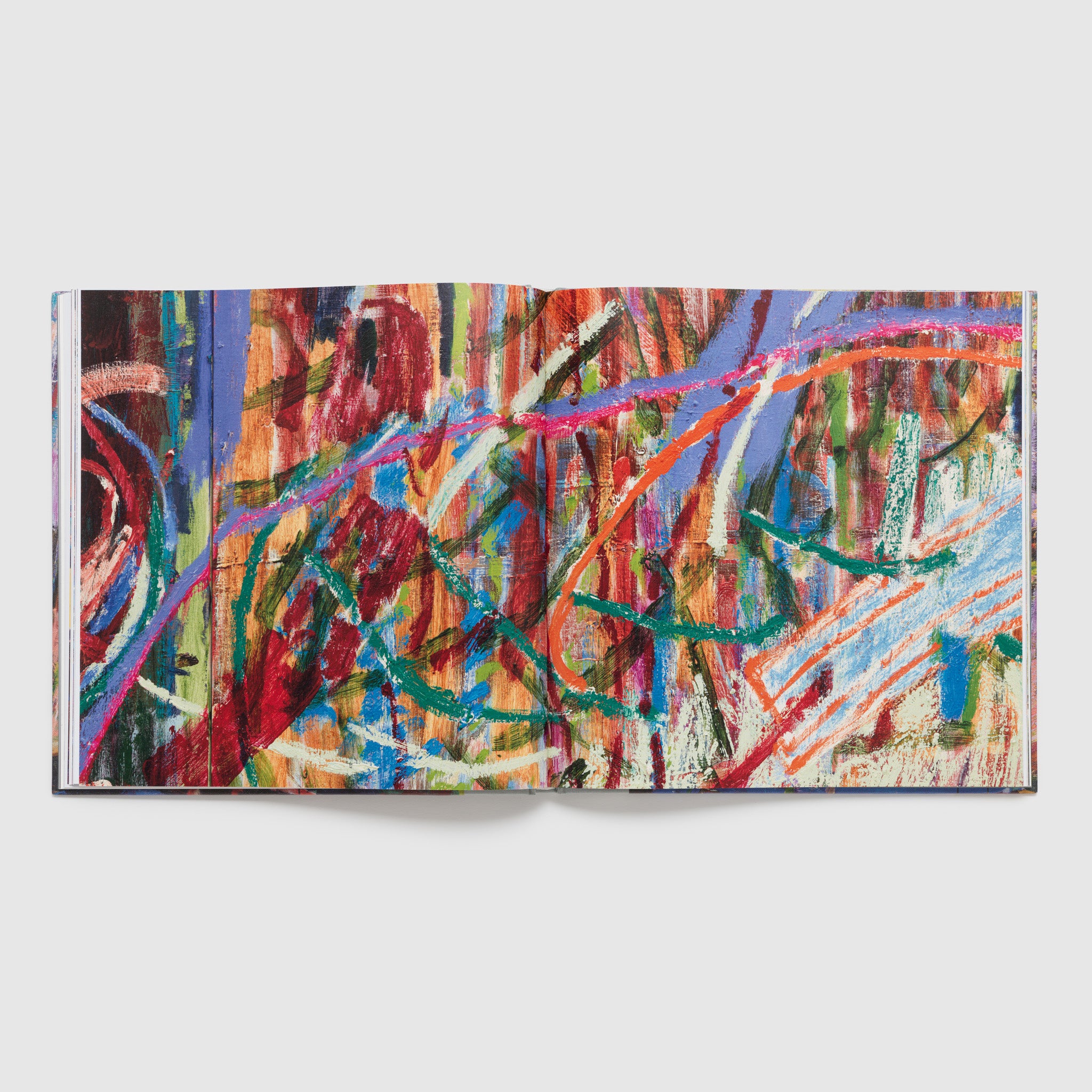 The book is open to two pages with one close up image of a Pam Evelyn painting across both.
