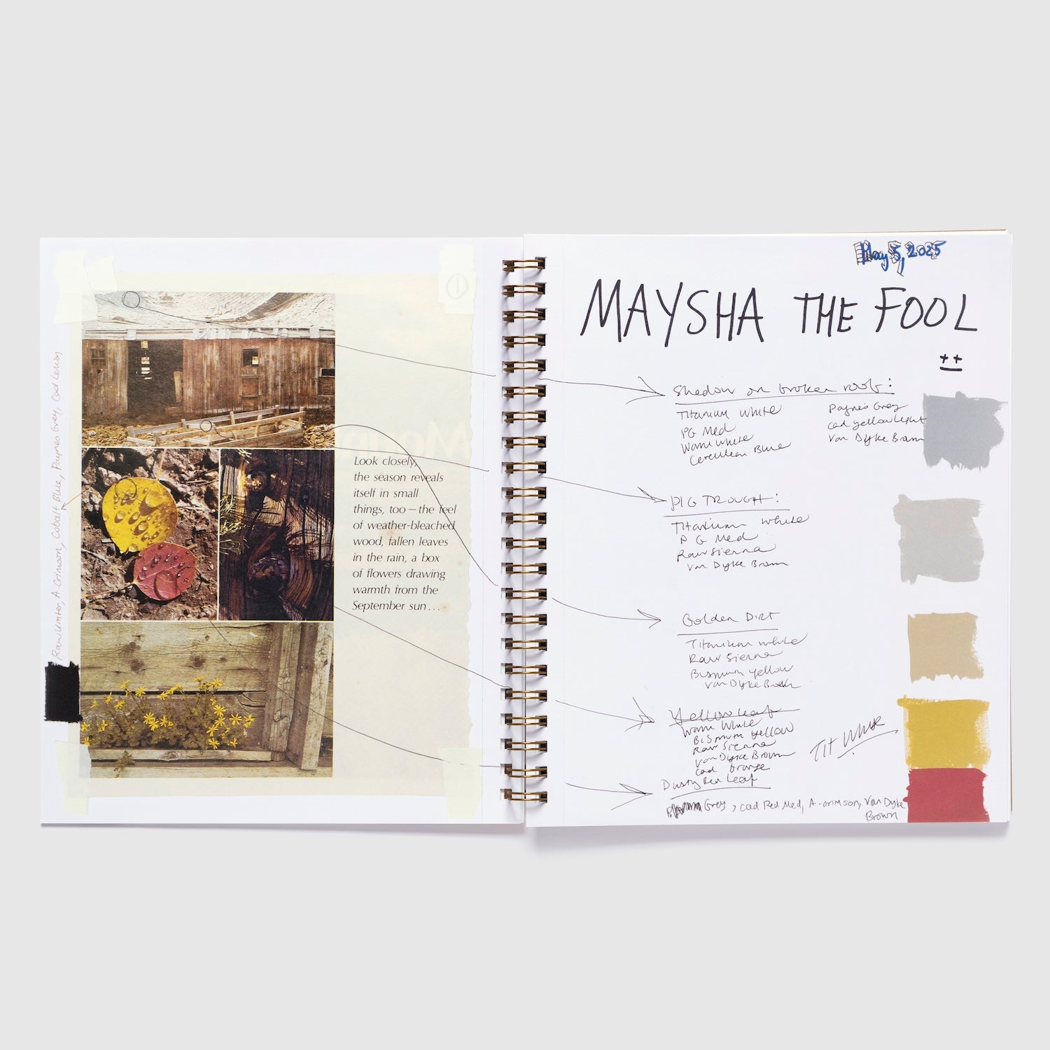 Maysha Mohamedi: Maysha the Fool
