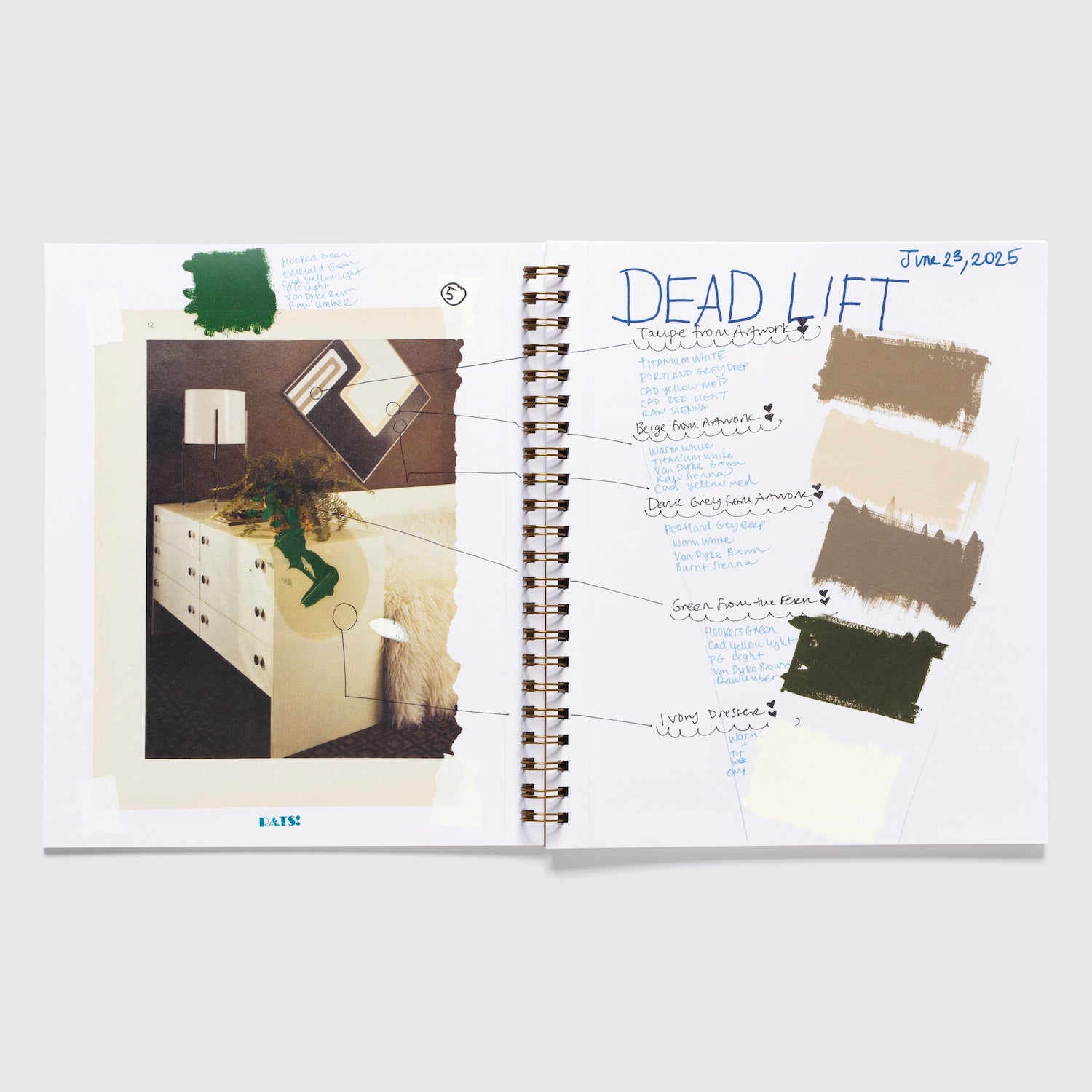 Maysha Mohamedi: Maysha the Fool