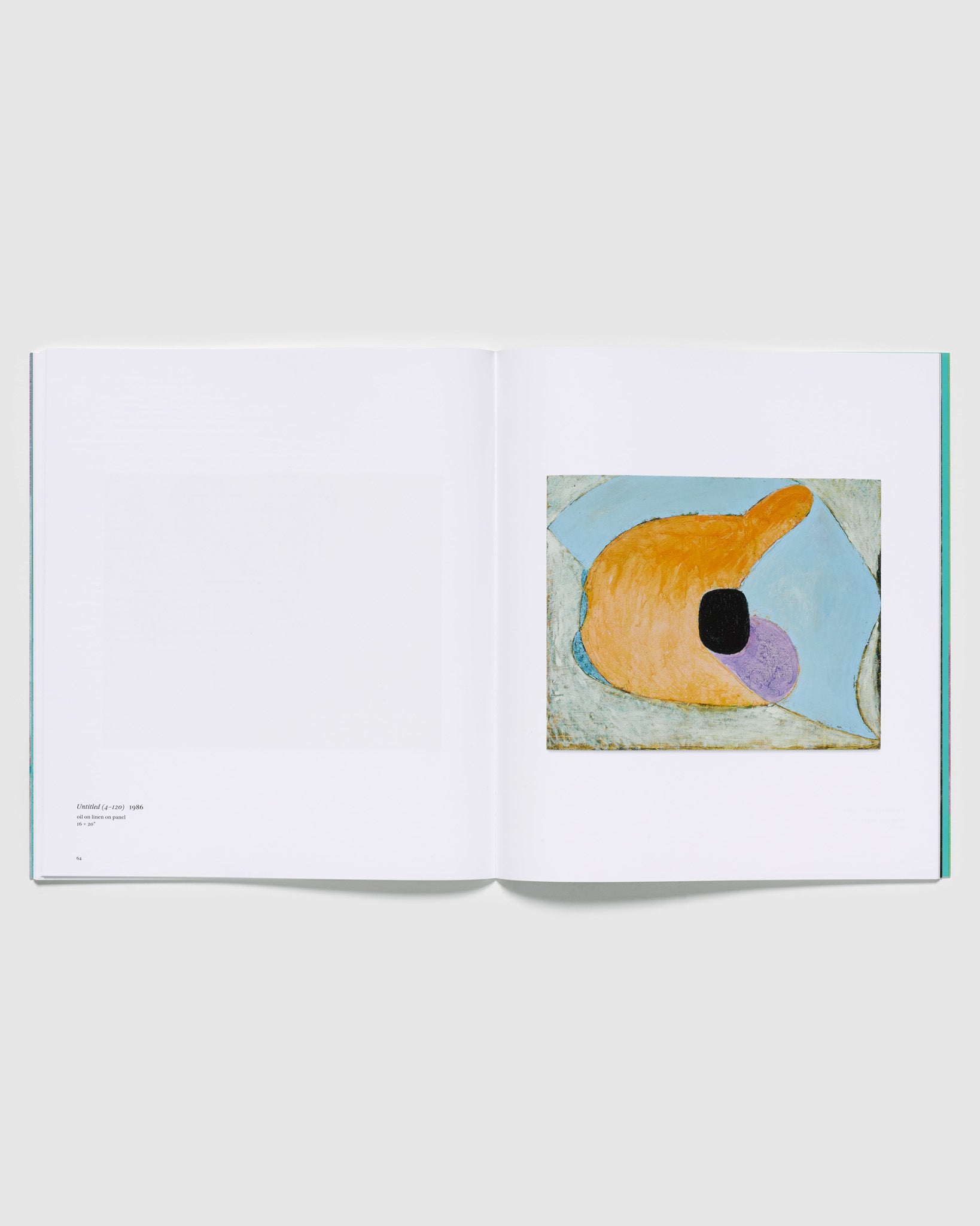 The book is open to two pages. The right page has an image of a work by the artist and the left page has details of the work.