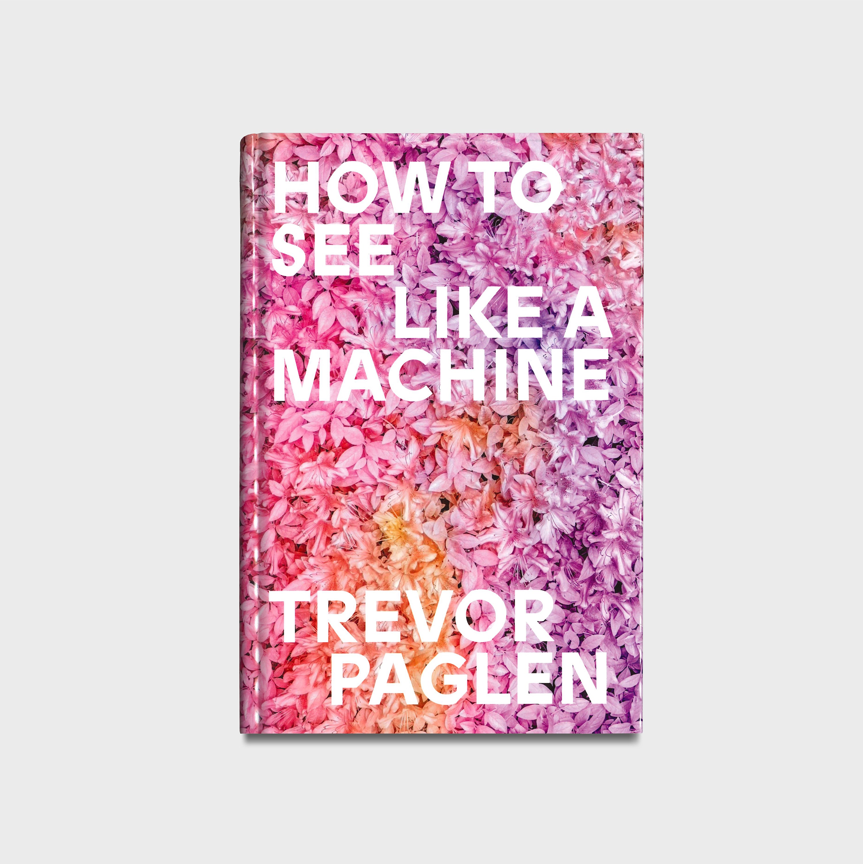 How to See Like a Machine: Images After AI