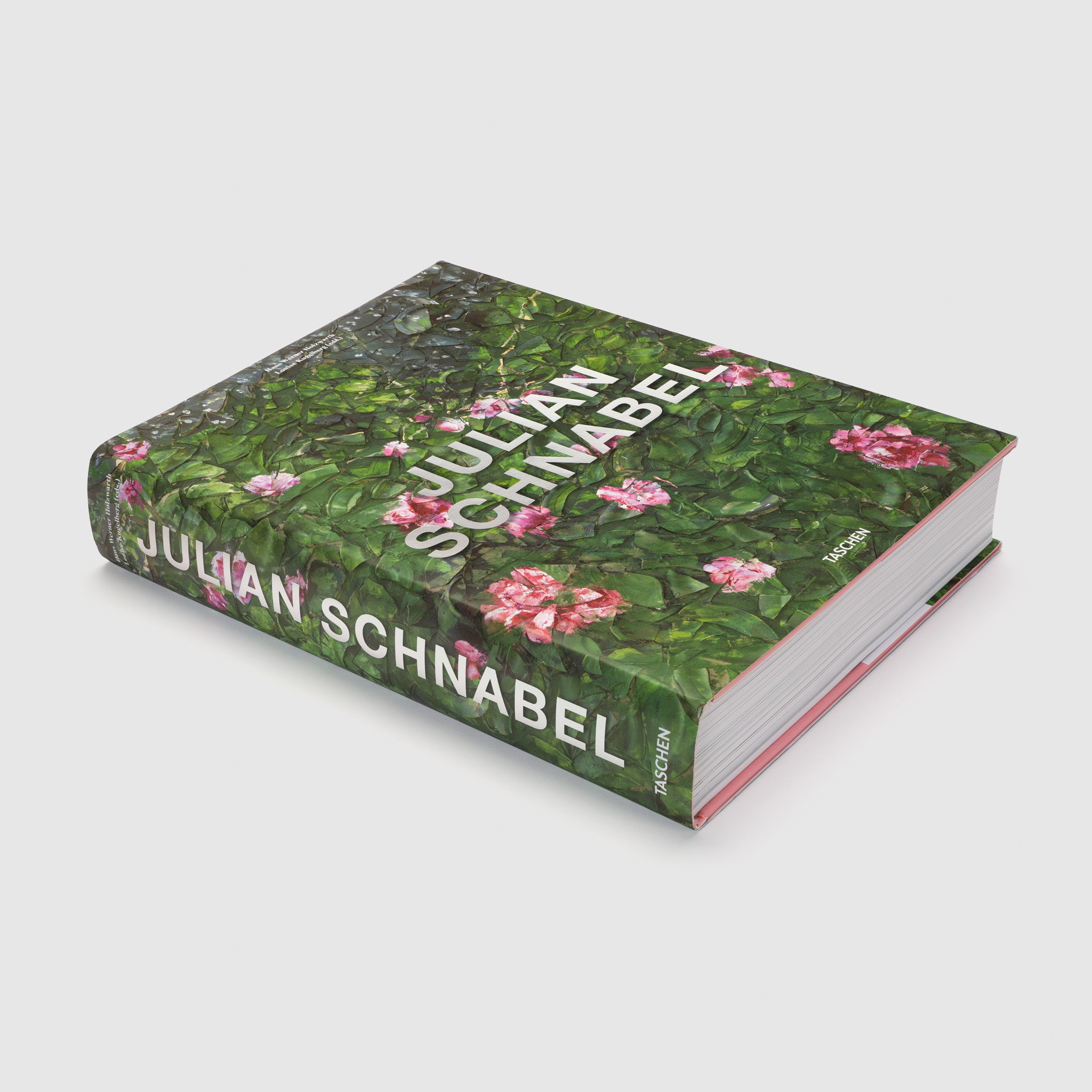 Julian Schnabel. The cover has an image of his plate works with a green background and pink flowers.