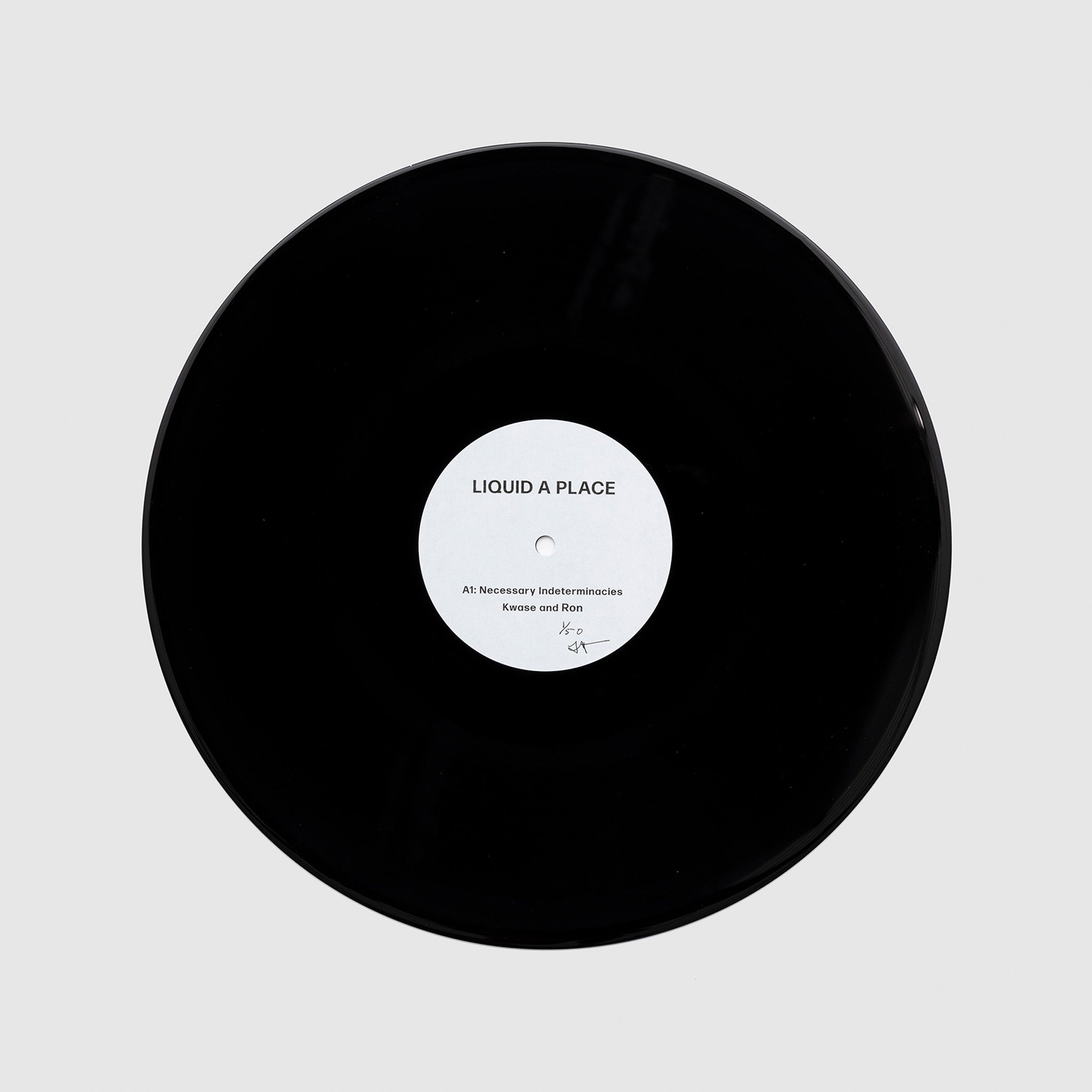 Black vinyl record with a white label on a light gray background.