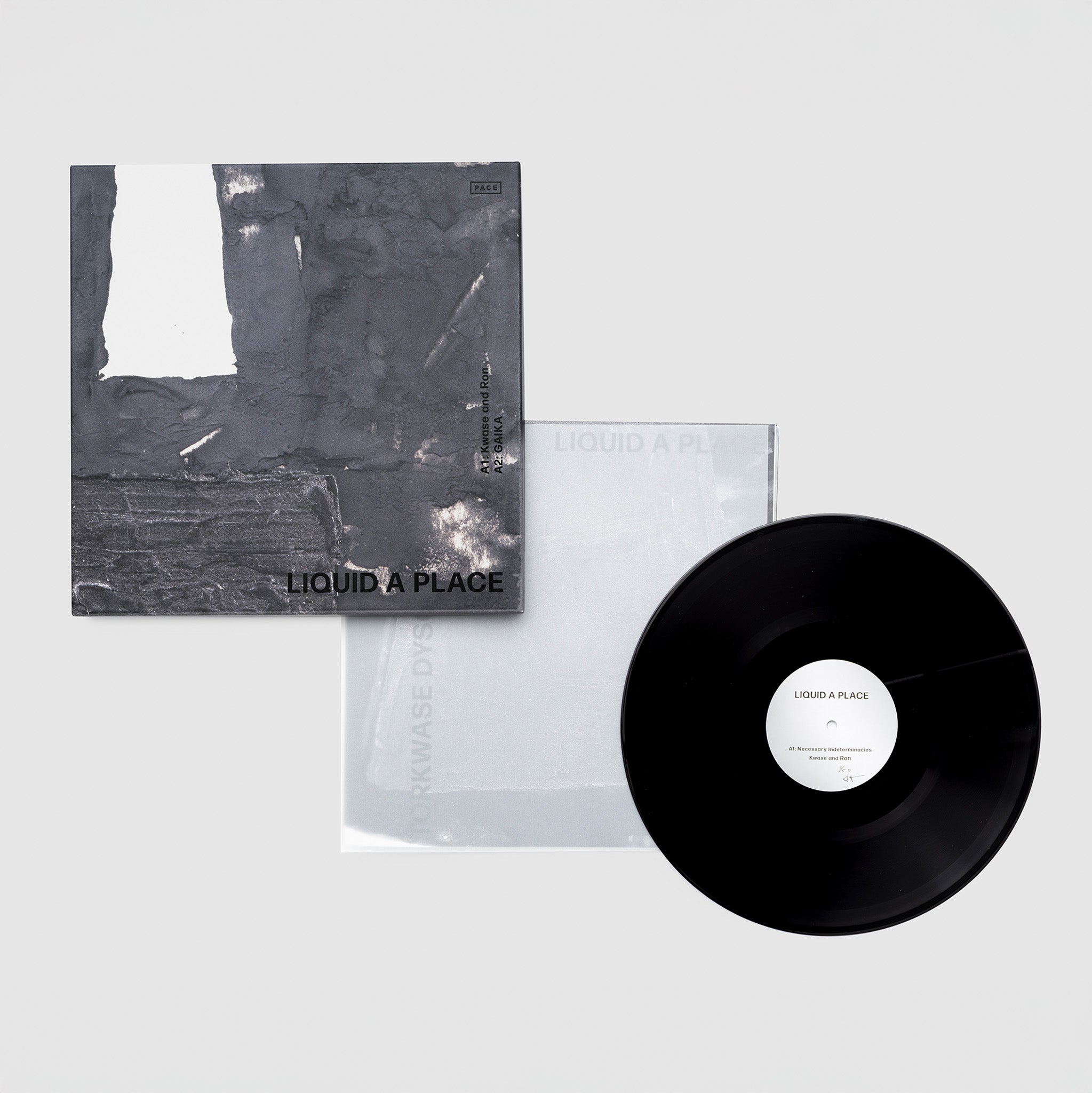 Vinyl record with cover and inner sleeve on a light gray background.