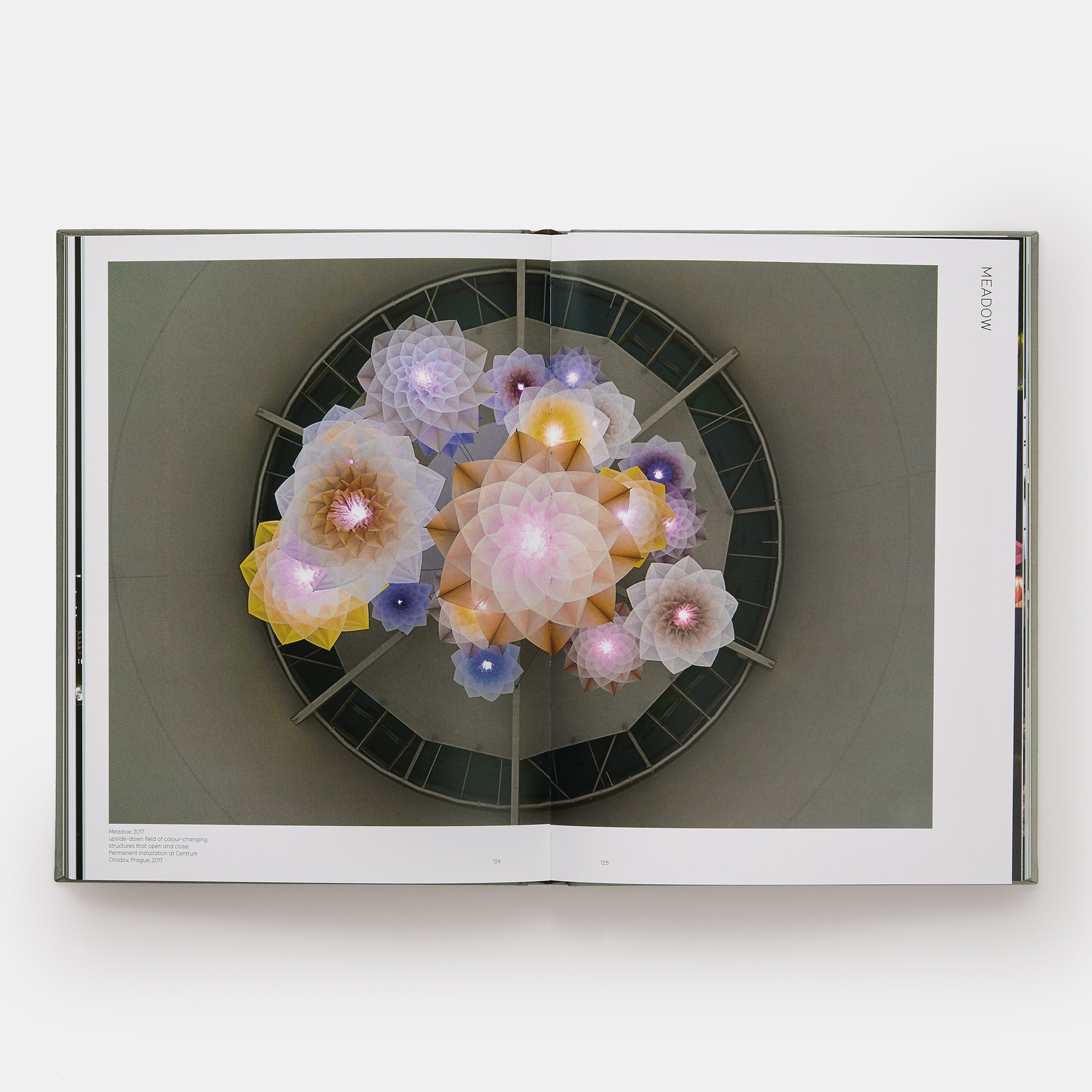 The book is open to two pages with a digital work titled Meadow across both.