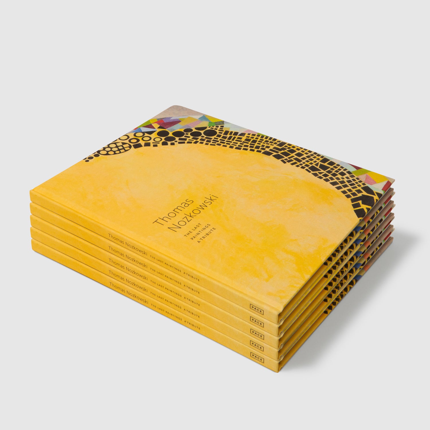 Five Thomas Nozkwoski The Last Paintings A Tribute are stacked on top of each other.