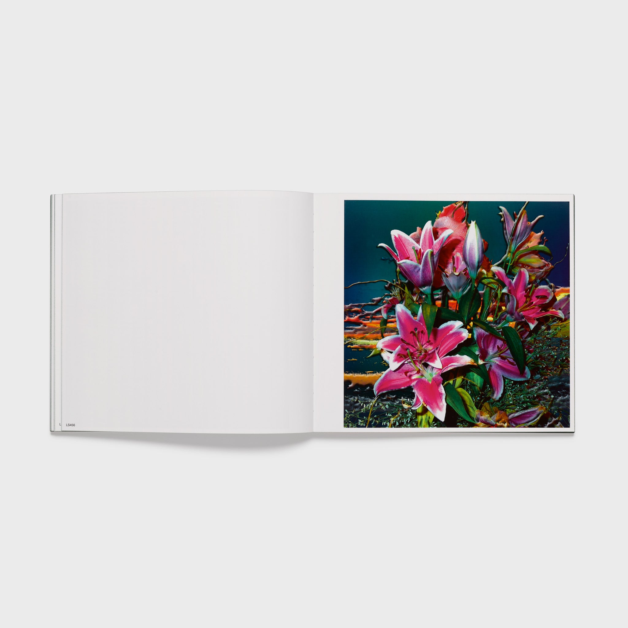 The book is open to two pages with a Samaras work on the right page. The left page is blank.