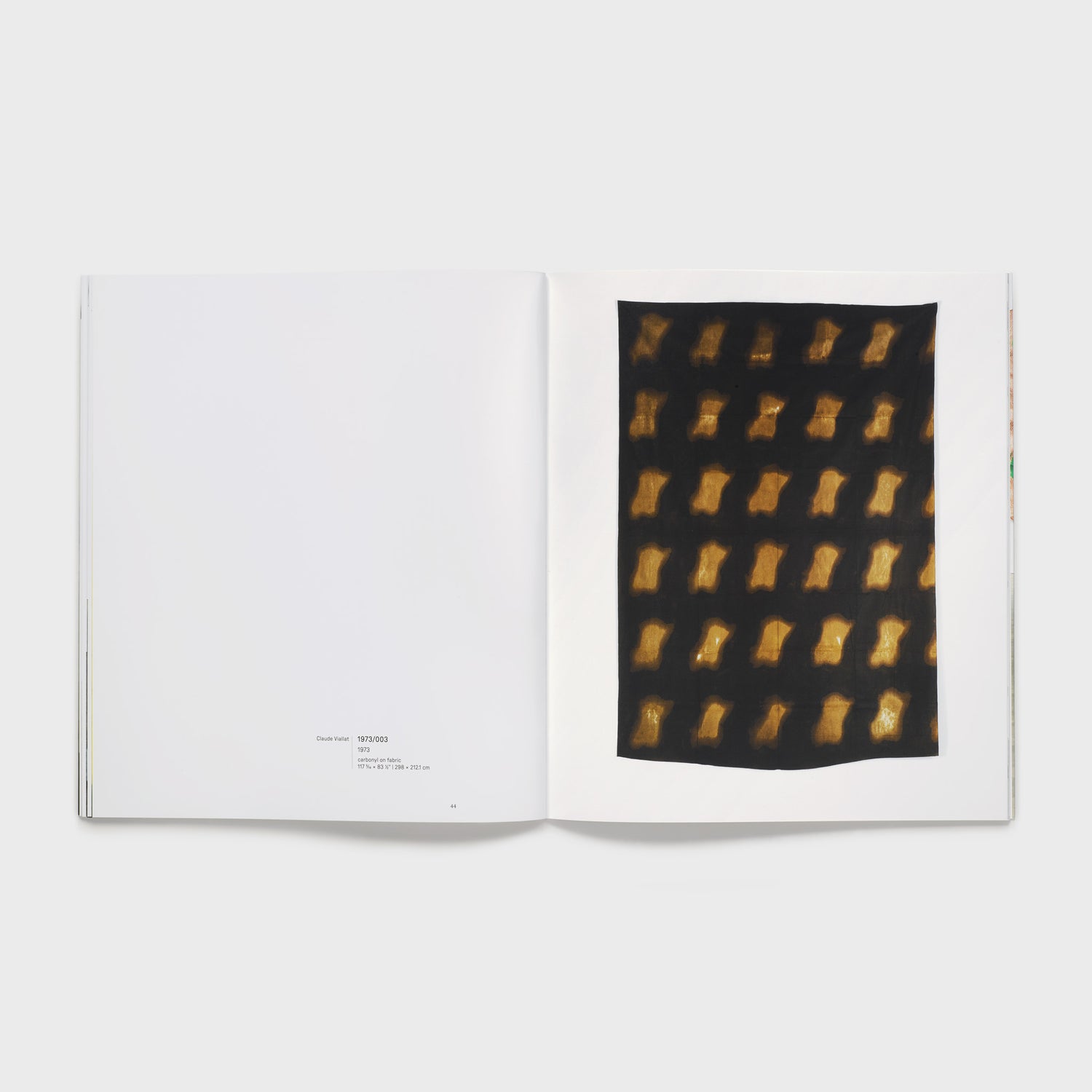 The book is open to two pages with a black and yellow Claude Viallat work on the right page and details of the work listed on the bottom of the left page.