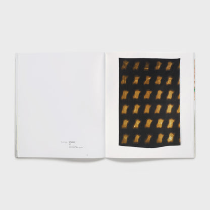 The book is open to two pages with a black and yellow Claude Viallat work on the right page and details of the work listed on the bottom of the left page.