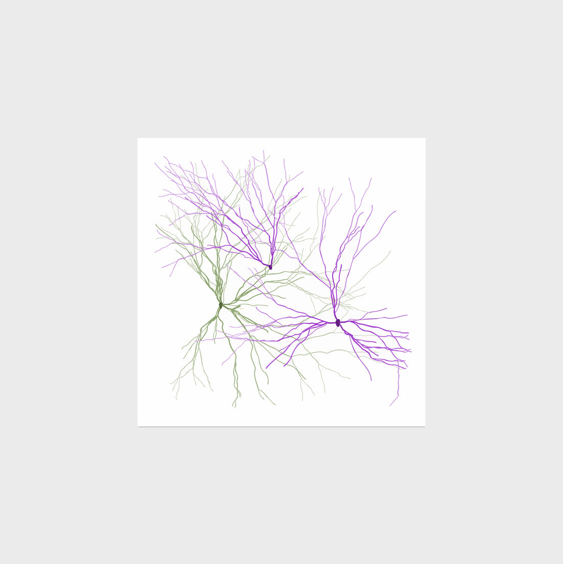 Maya Lin: Ghost Forest Seedlings 