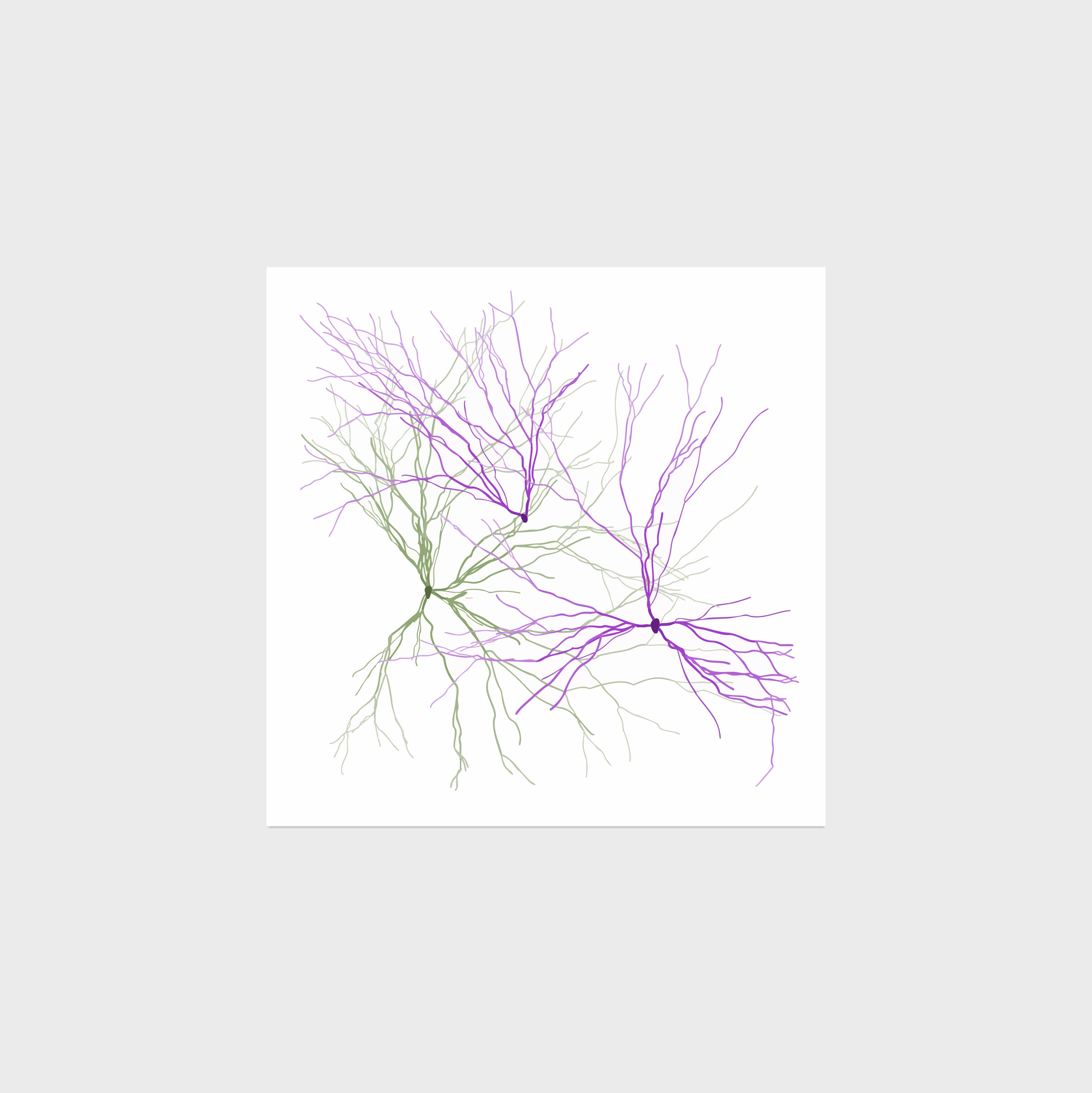 Maya Lin: Ghost Forest Seedlings 