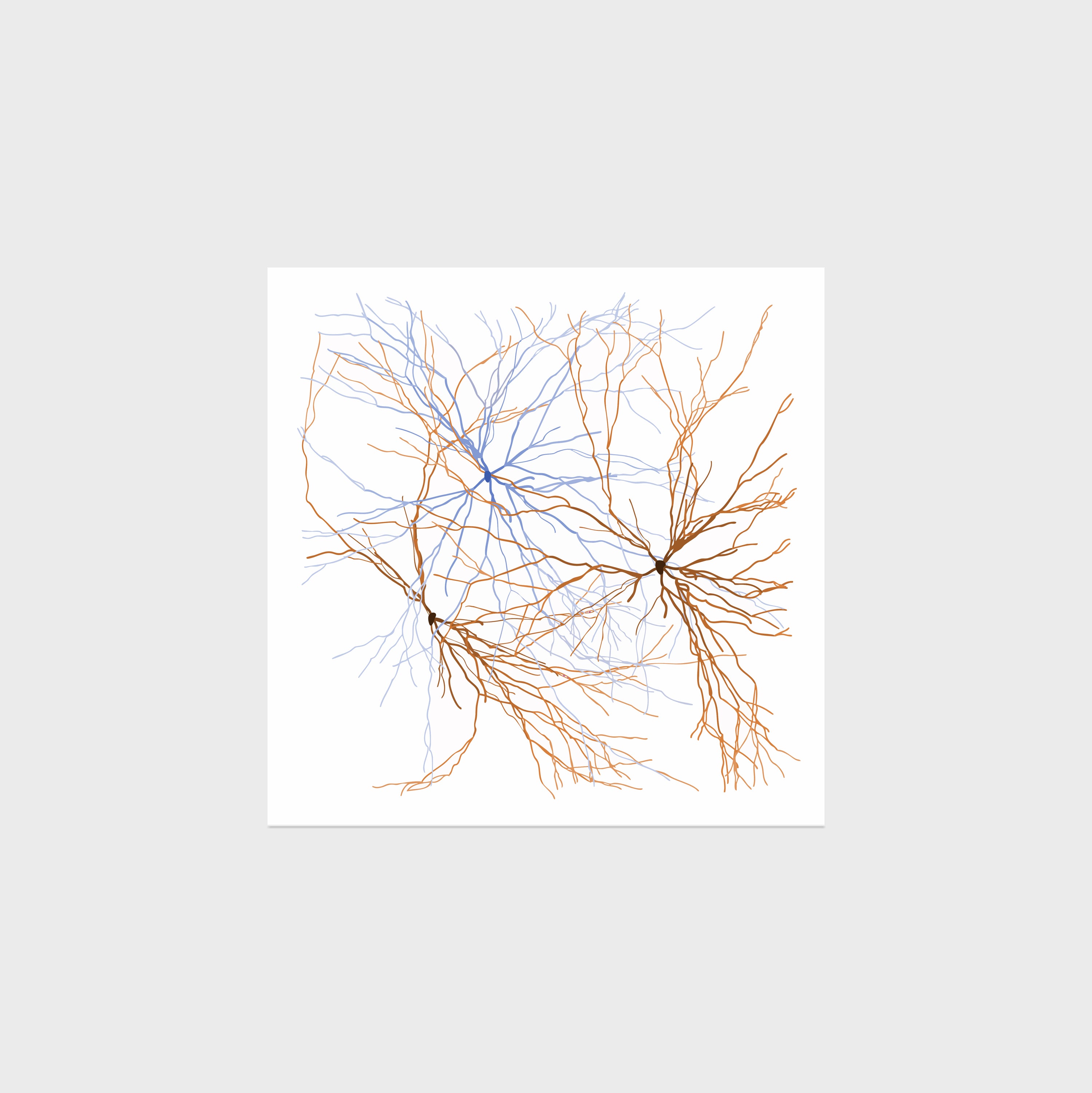 Maya Lin: Ghost Forest Seedlings 