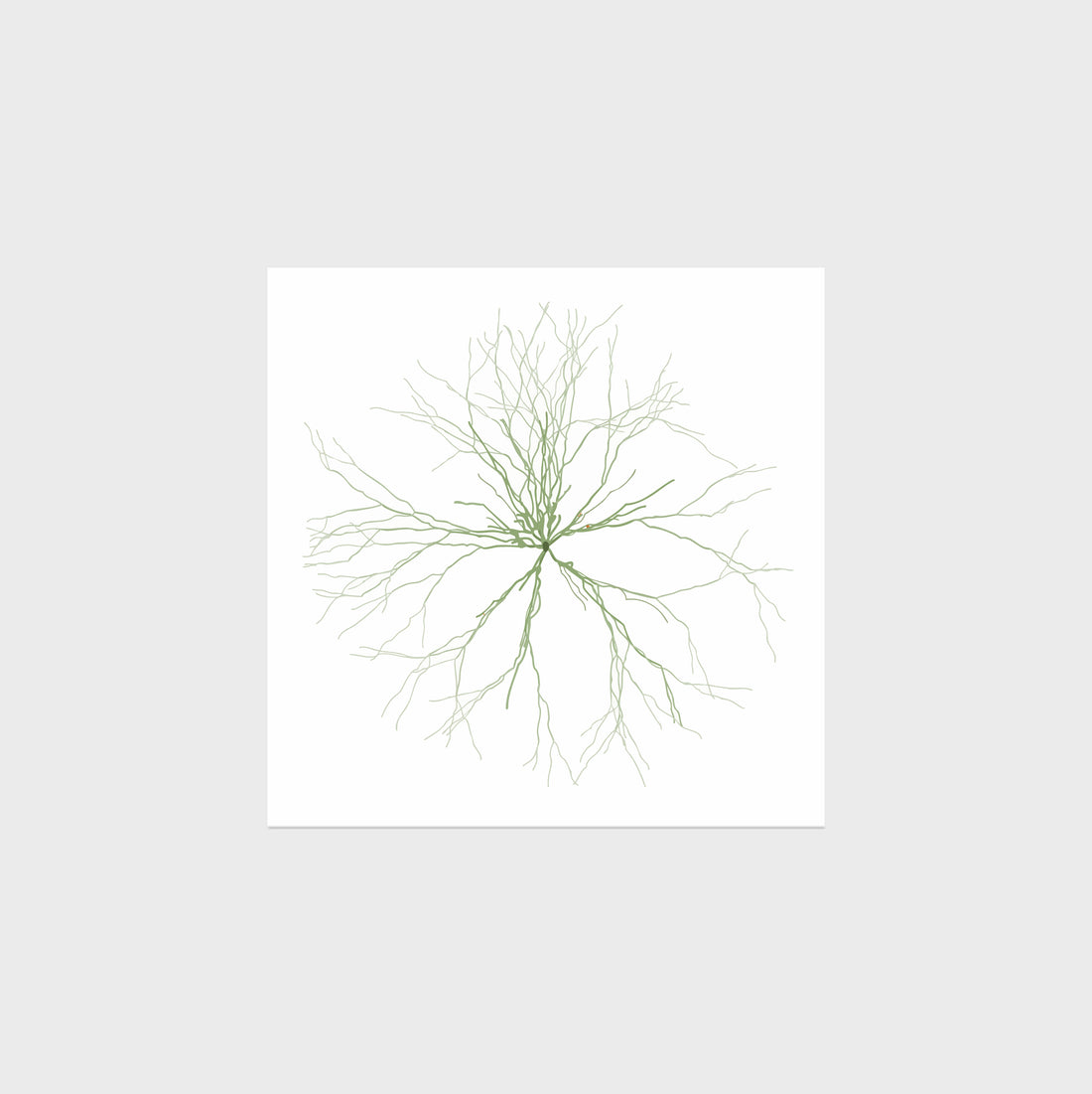 Maya Lin: Ghost Forest Seedlings 