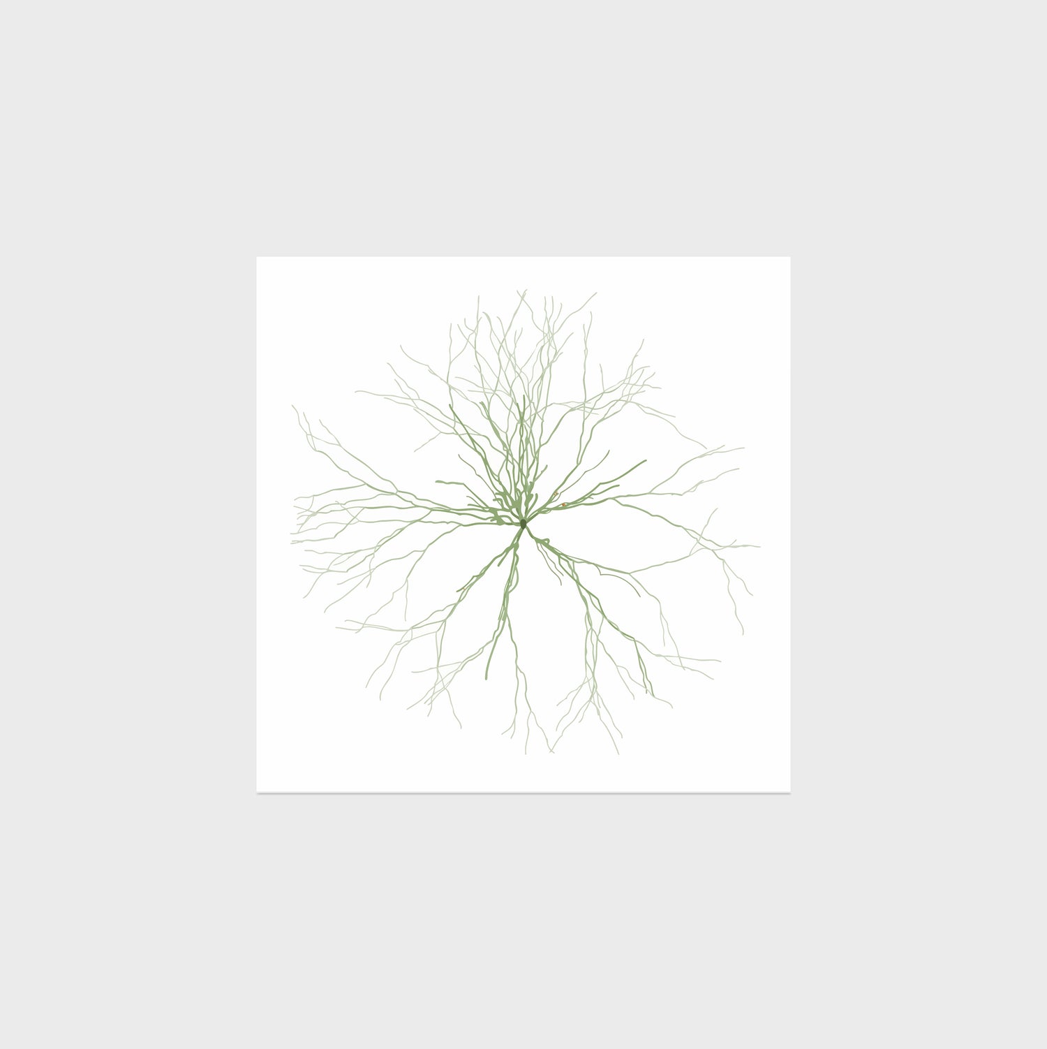 Maya Lin: Ghost Forest Seedlings 