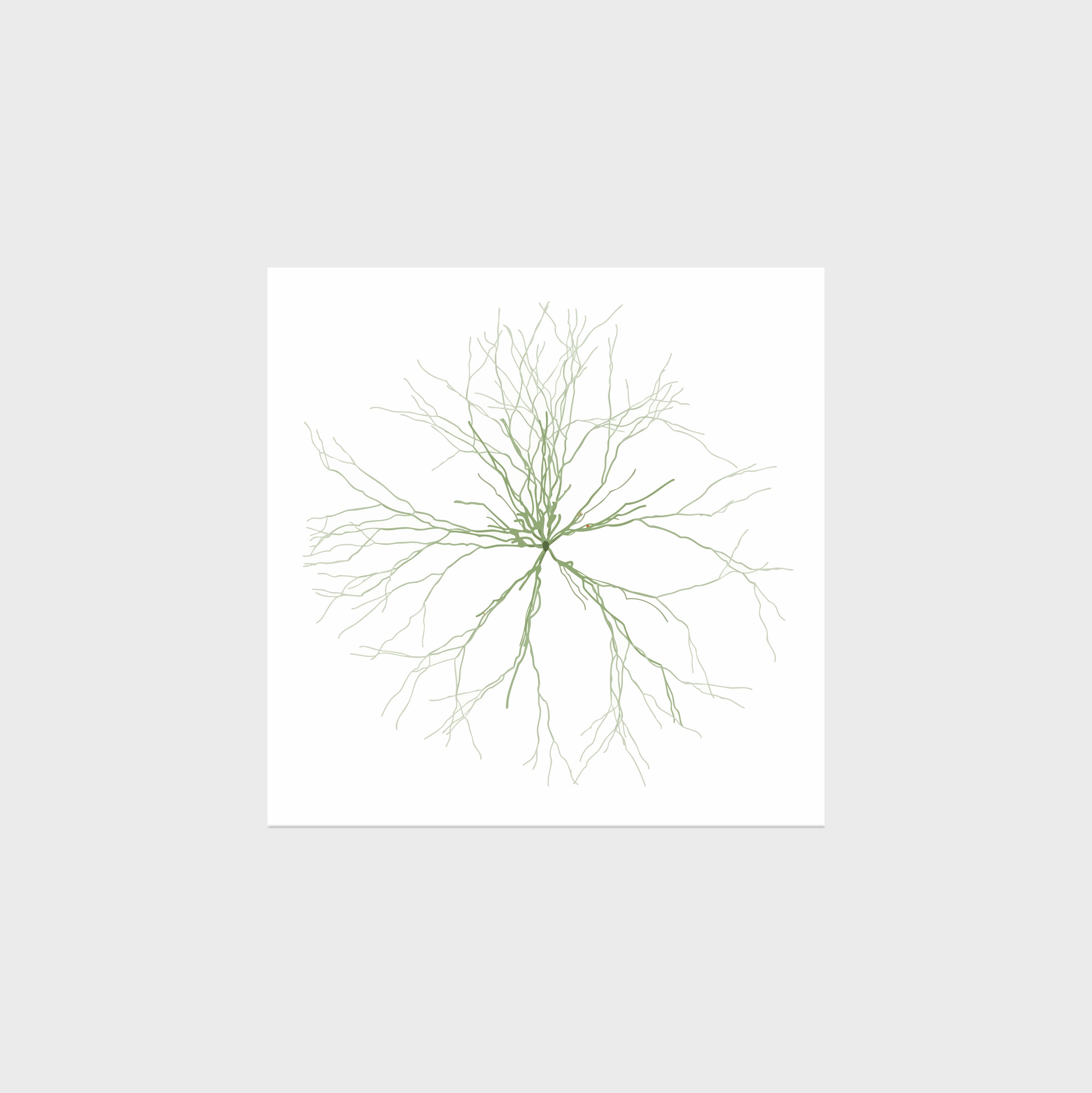 Maya Lin: Ghost Forest Seedlings 