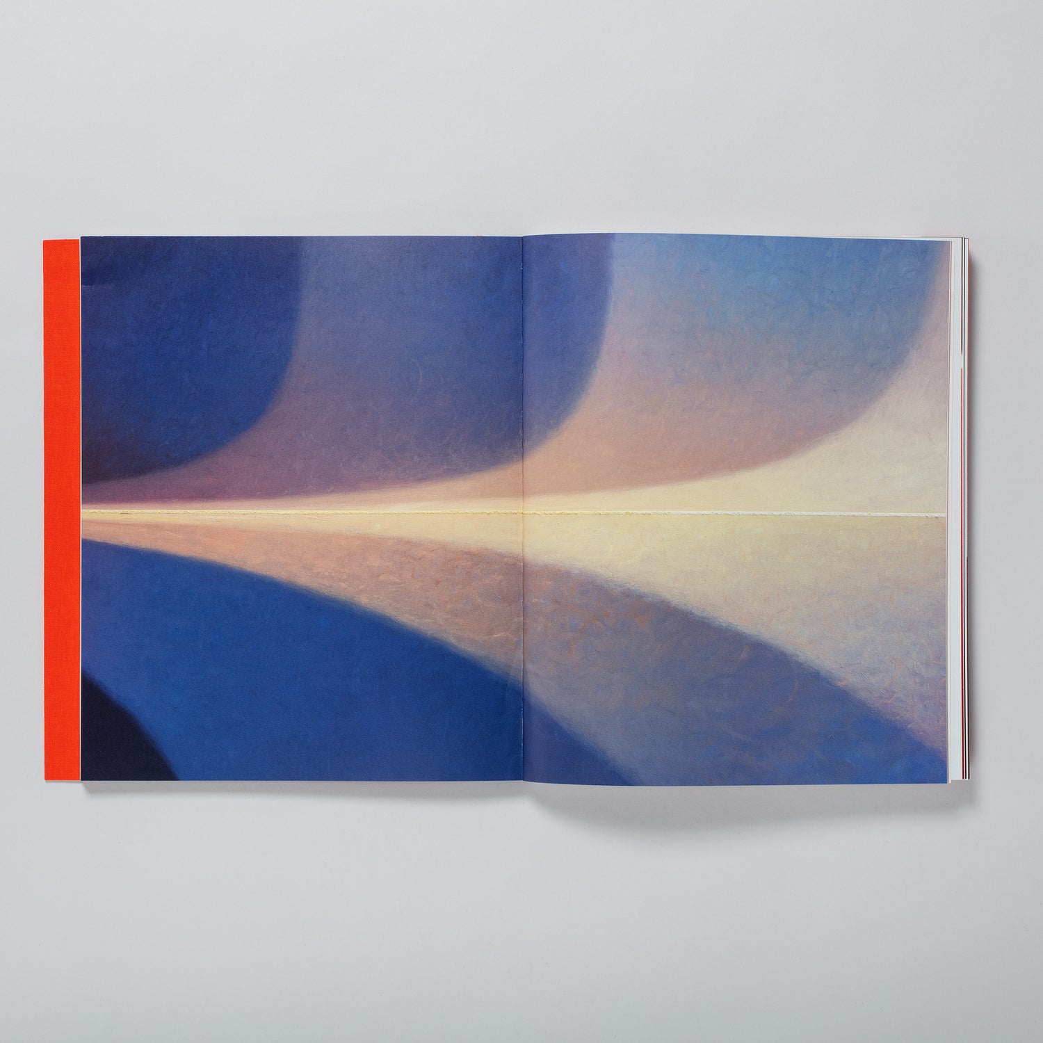 The book is open to two pages with a Loie Hollowell work across both pages.
