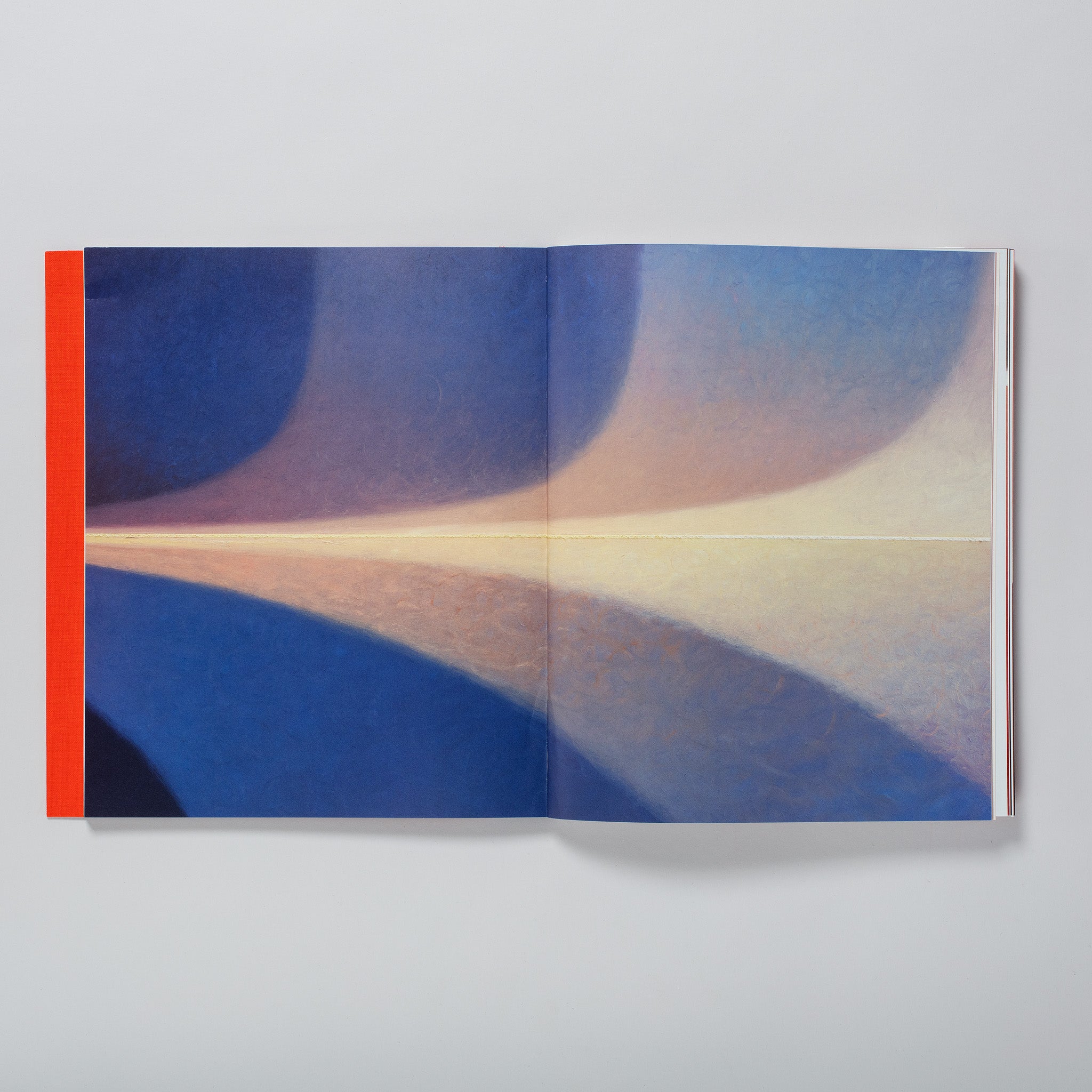 The book is open to two pages with a Loie Hollowell work across both pages.