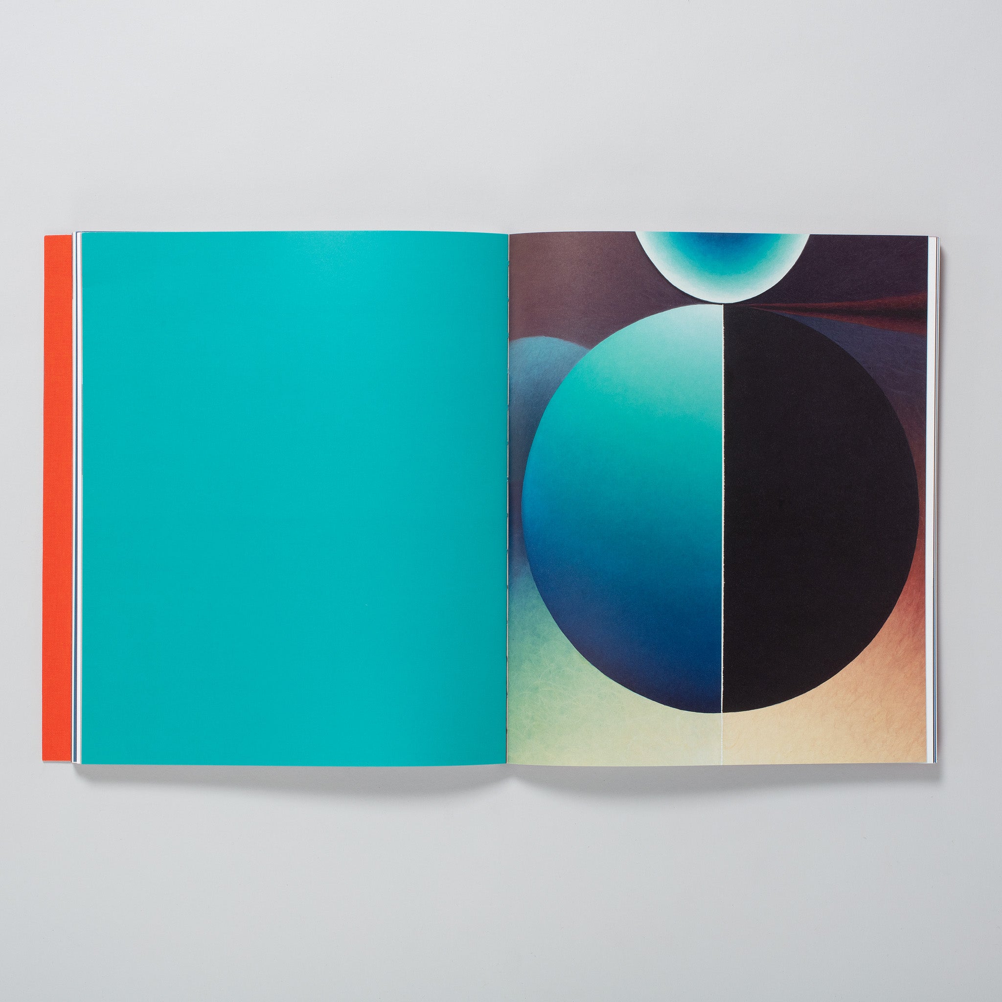 The book is open to two pages with a Loie Hollowell work on the right page. The left page is blank but has a teal background.