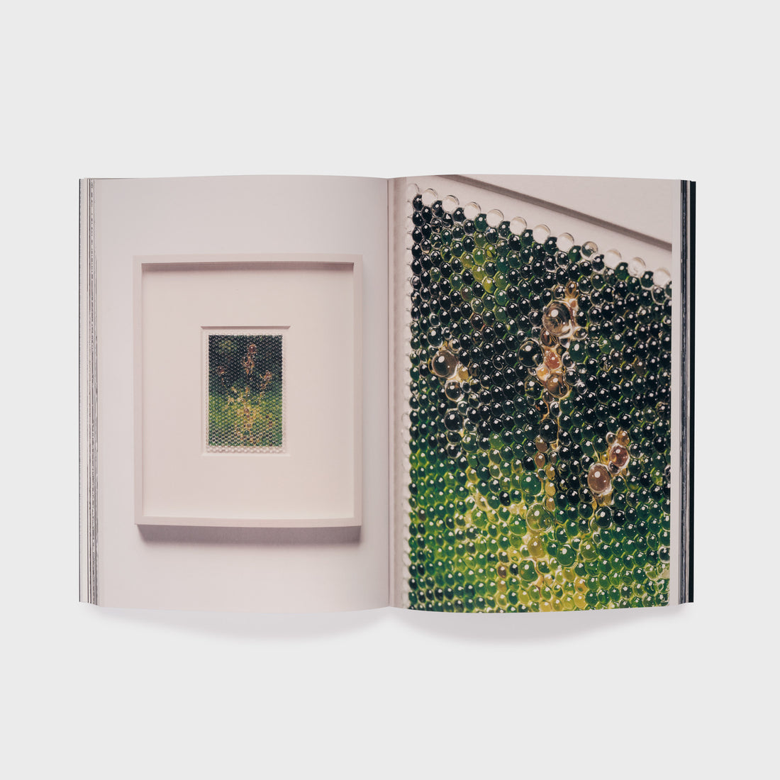 The book is open to two pages. The left page features a Nawa work in a white frame and the right page has an up close detail shot of the same work.