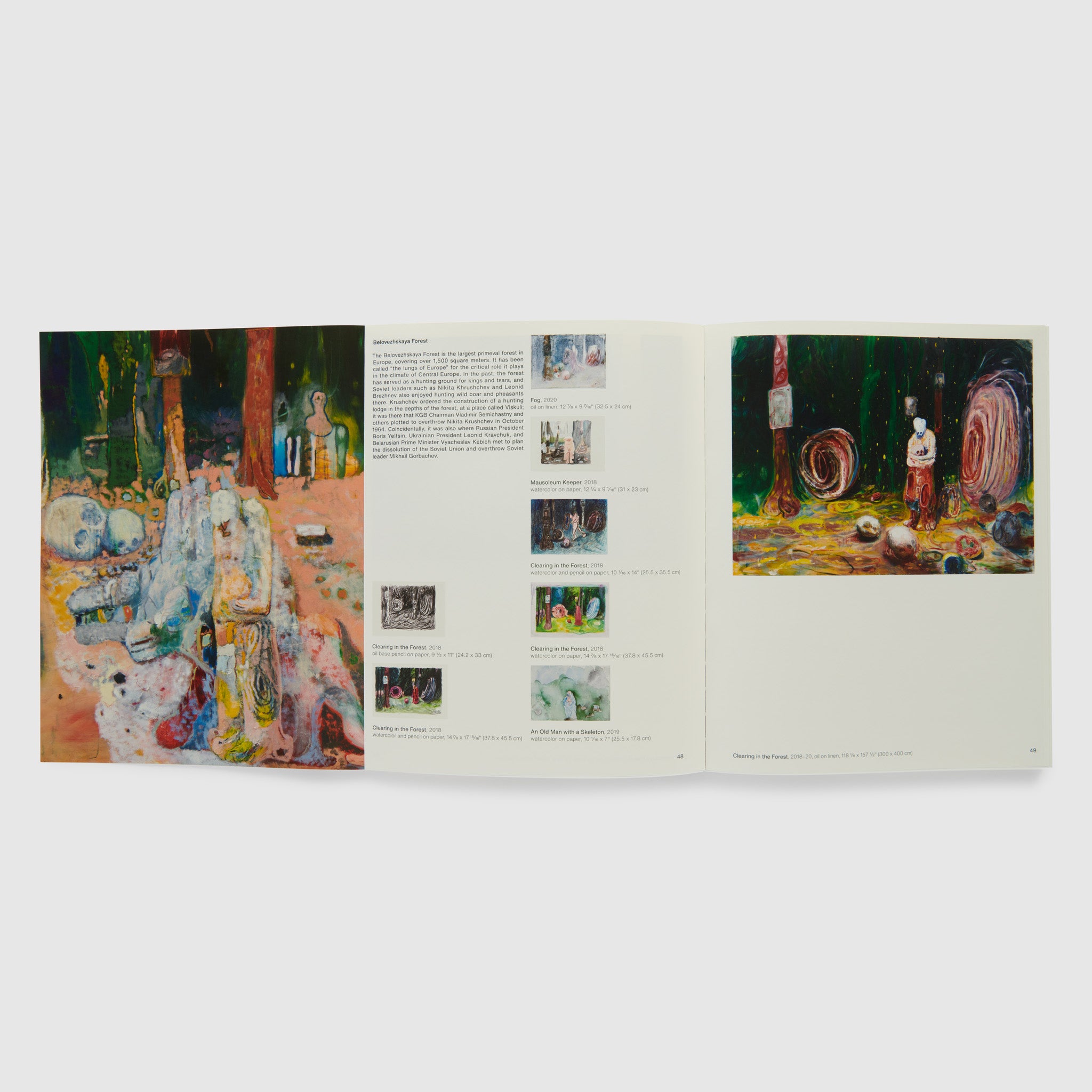 The book is open to two pages with a foldout extended. There are nine colorful images of the artists work across the three pages with a description of the work on the middle page.