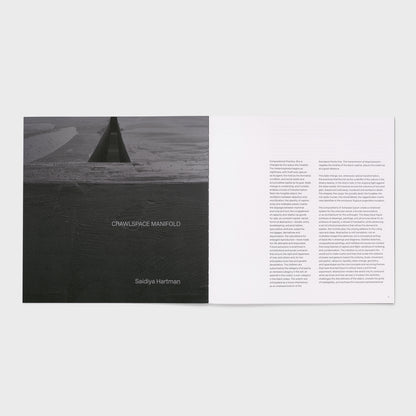 The book is open to two pages. The left page is a black and white image of the artists work and the right page is an essay with a white background and black text.