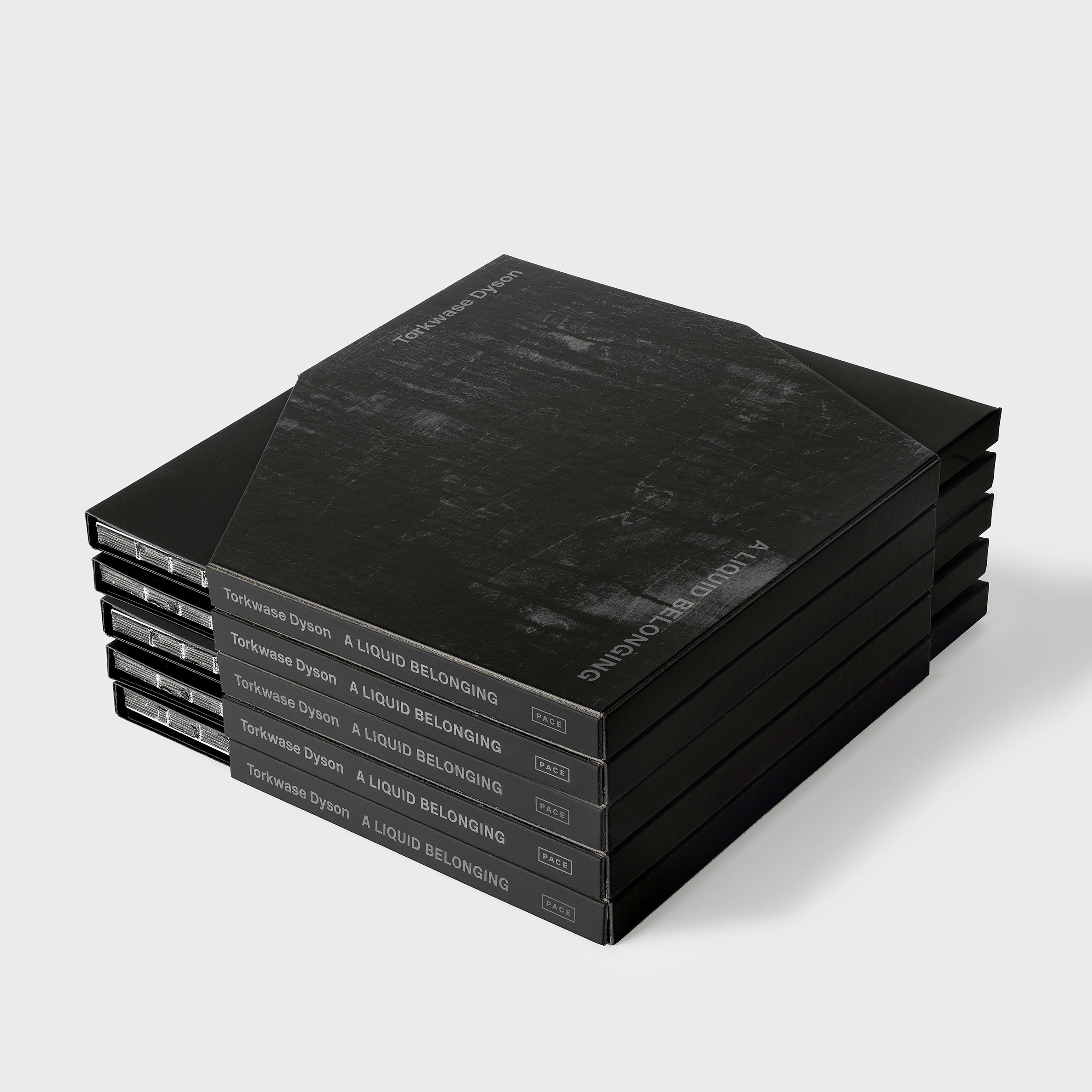 Five copies of Torkwase Dyson a Liquid Belonging are stacked on top of each other. 