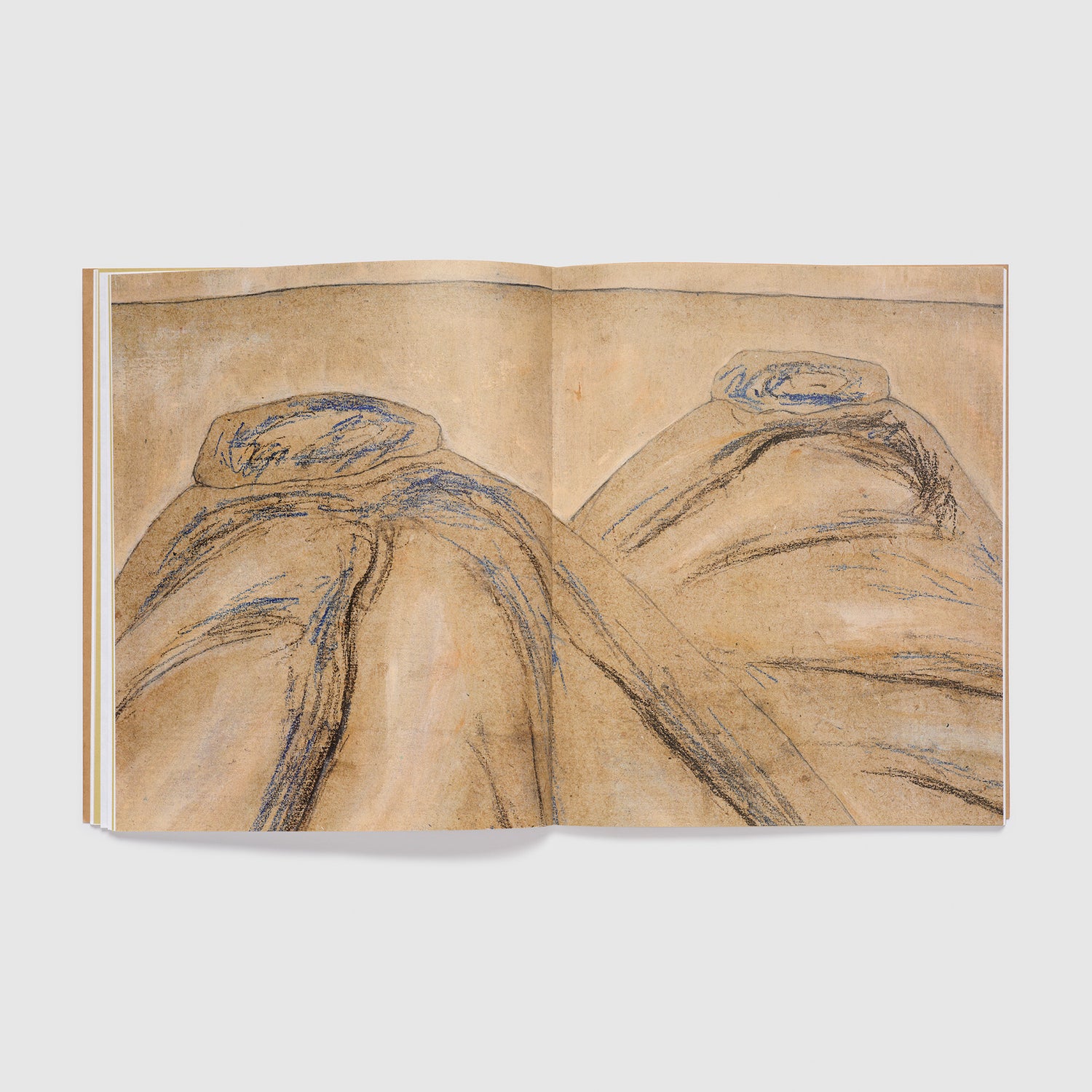 The book is open to two apges with a Dodinh painting filling both pages. The painting has black, brown, and blue colors.