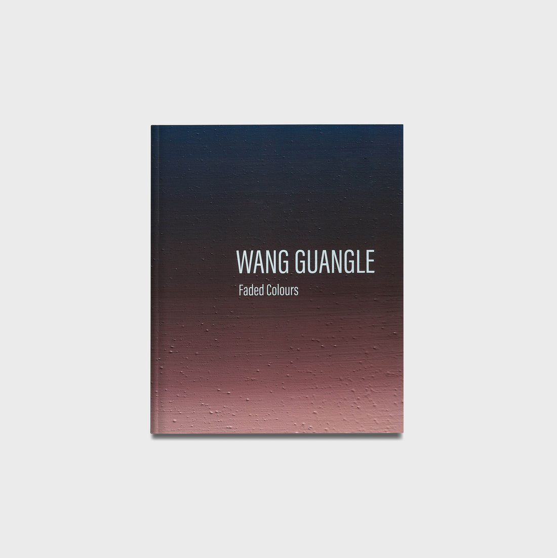 Wang Guangle: Faded Colours