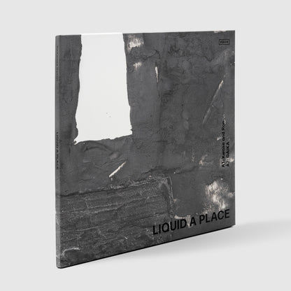 Torkwase Dyson: Liquid A Place Limited Edition Dubplate