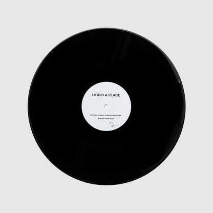 Torkwase Dyson: Liquid A Place Limited Edition Dubplate