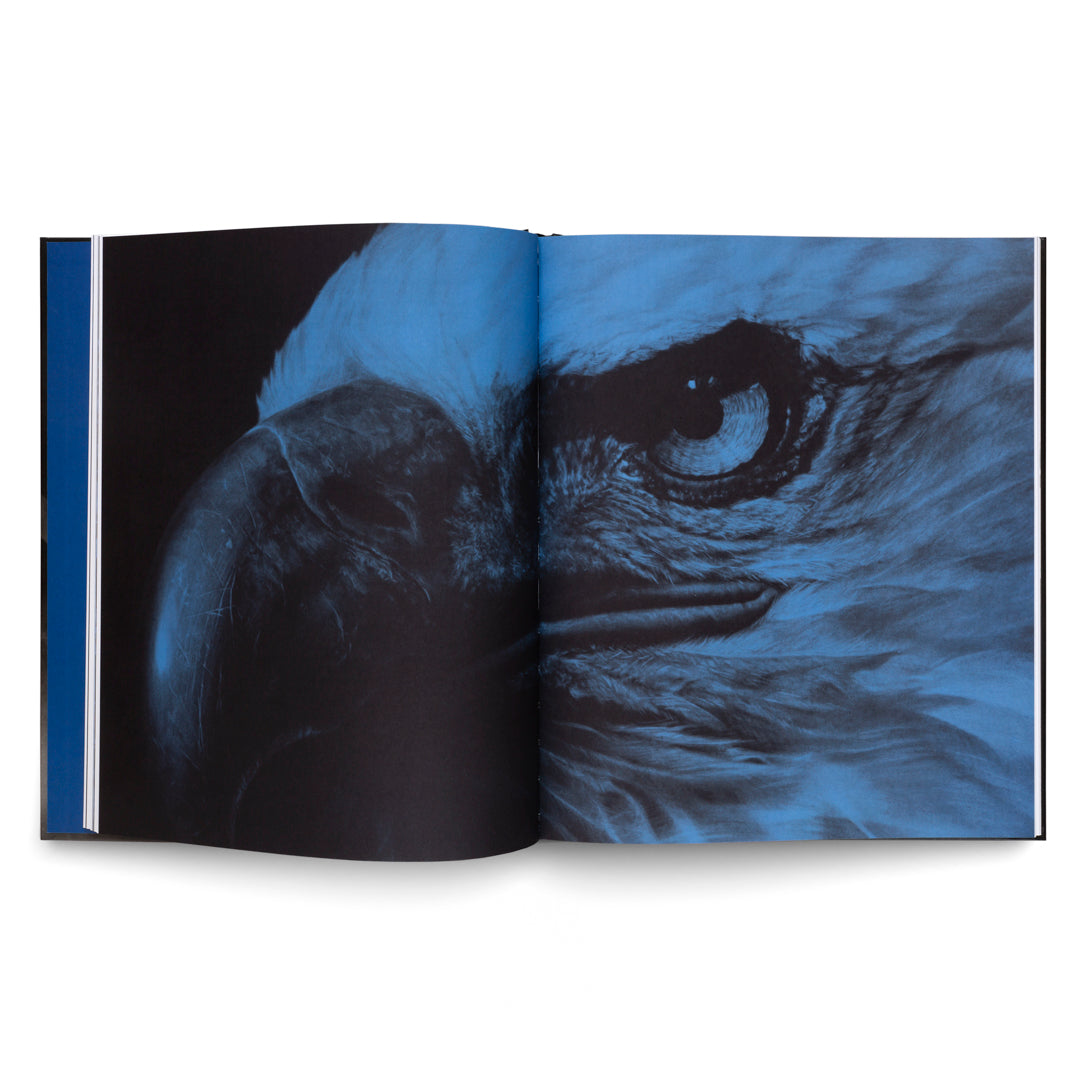 Robert Longo: The Acceleration of History