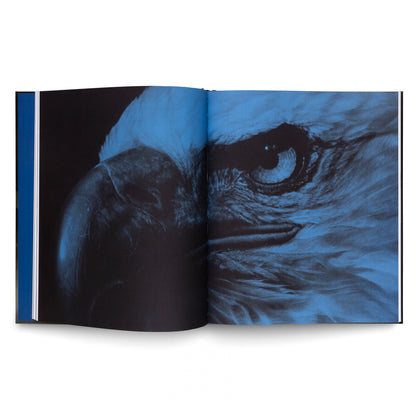 Robert Longo: The Acceleration of History