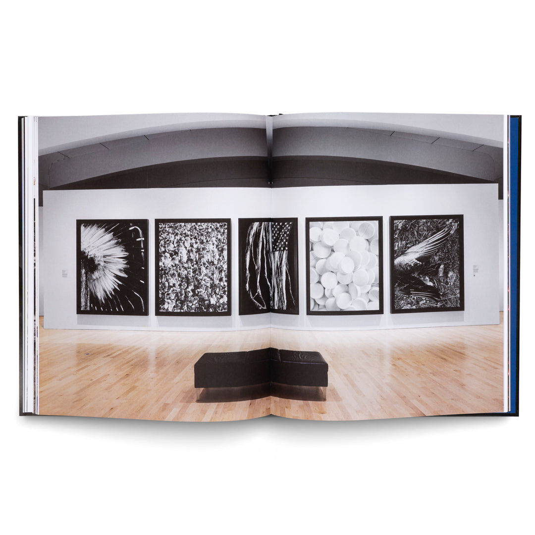 Robert Longo: The Acceleration of History