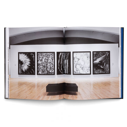 Robert Longo: The Acceleration of History